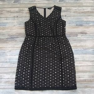 The Limited Black & Tan Eyelet Midi Dress